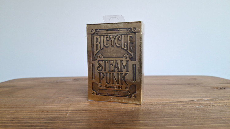 پاسور بایسیکل استیم پانک