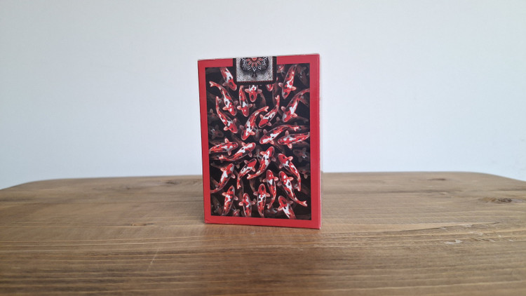 پاسور کوی بایسیکل