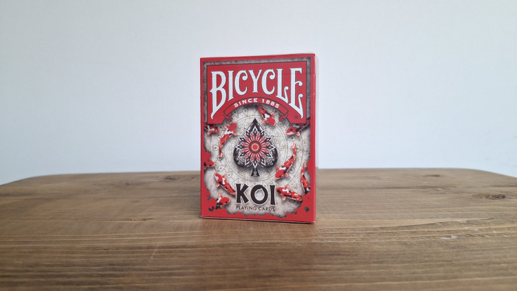 پاسور بایسیکل ماهی کوی