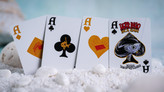 odd penguin cards