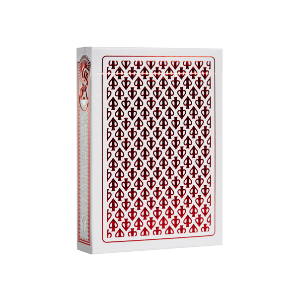 پاسور دیویدبلین